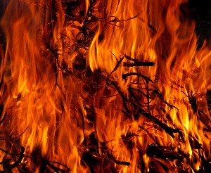 forest fire